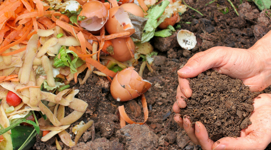 Composting on the Farm: Turning Waste Into Soil Gold