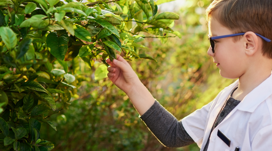 Why More Loveland Parents Are Choosing Nature Based Learning