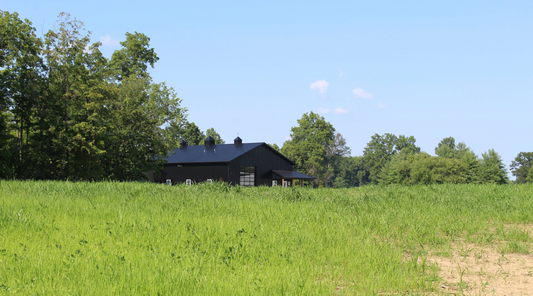 Planting the Future: Seeds for New Pastures at Mission Farmstead