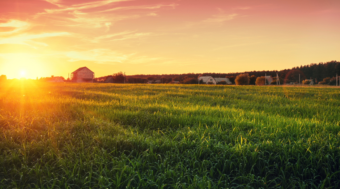 What Is a Farmstead? Why I'm Building One in Cincinnati, Ohio