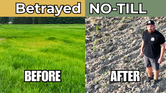 Betrayed No-Till