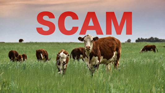Grass-Fed Beef Scam Exposed