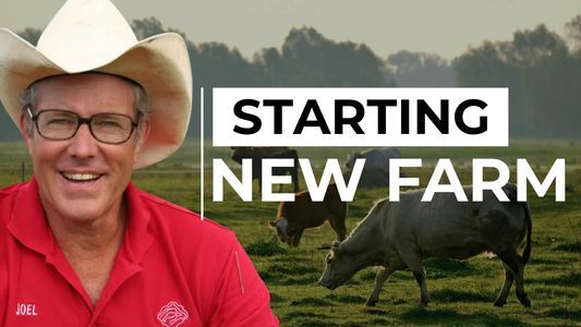 43-Year Veteran Farmer Joel Salatin Starts My New Farm From Scratch