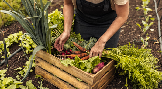 Organic vs. Conventional Food: What’s the Difference & Why It Matters