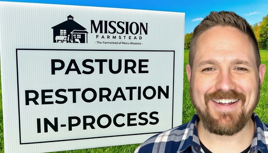 A Farm Healing Itself: What’s Greening Up