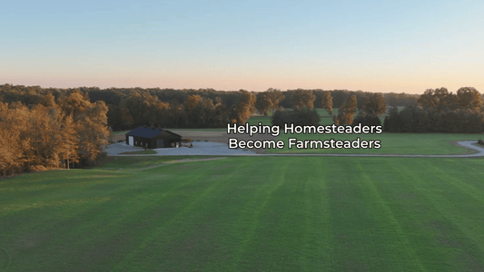 Helping Homesteaders Become Farmsteaders