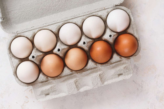Brown Eggs vs. White Eggs: The Real Scoop