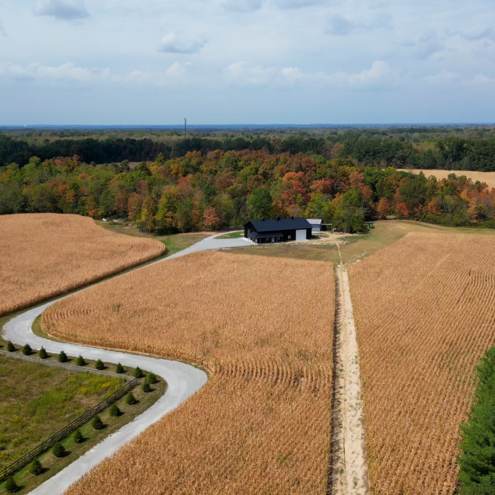 Filming at the Farm