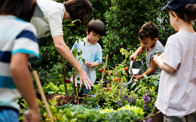 Farm School