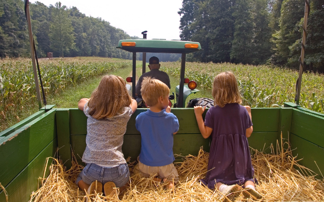 Farm Festivals